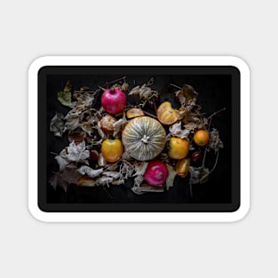 Autumnal background with dried leaves and various fruits Magnet