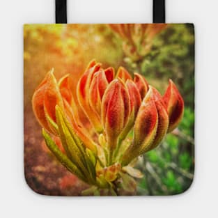 Spring Azalea Buds Tote