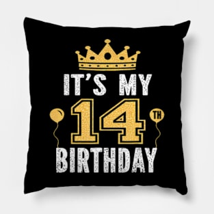 Its My 14Th Birthday 14 Years Old Boys And Girls Pillow