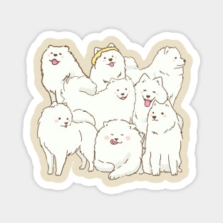 Cute samoyed dogs smiling Magnet