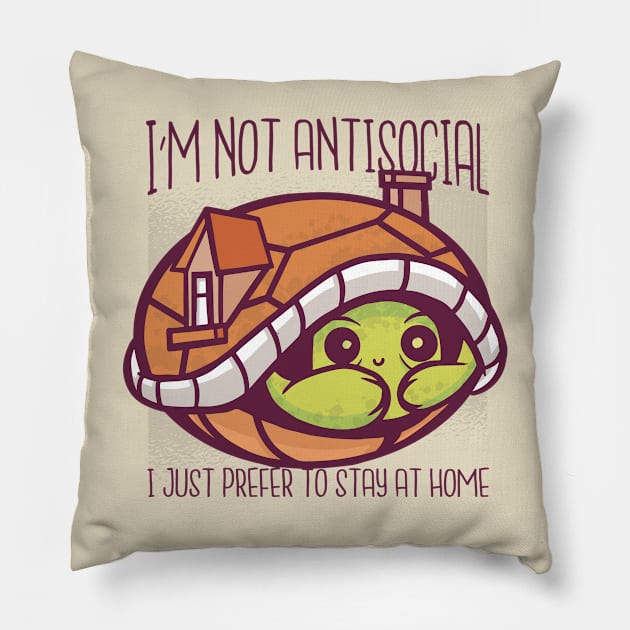 Cute Turtle Pillow by Safdesignx