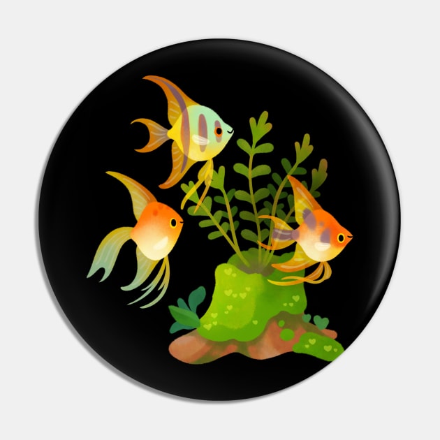 Fresh water fish and plants - angelfish Pin by pikaole