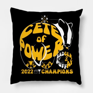 2022 House Cup Champions - Badgers!! Pillow