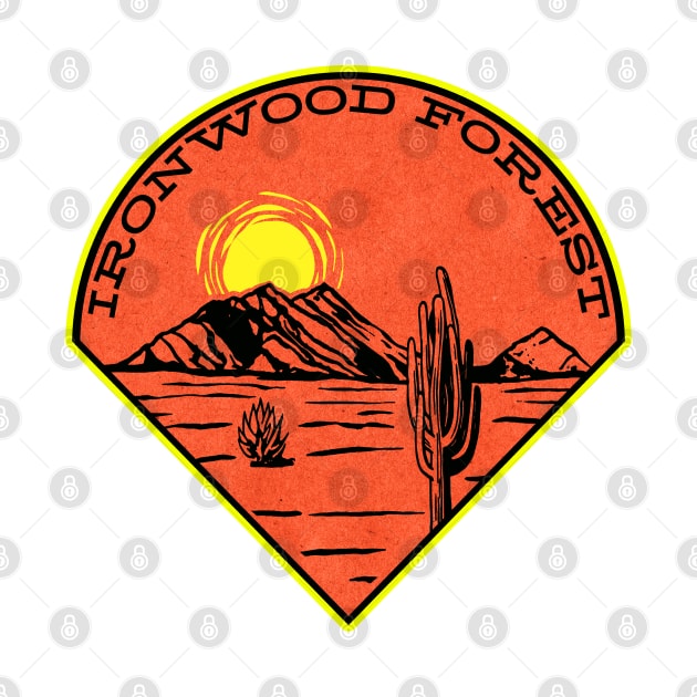 Ironwood Forest National Monument  Sonoran Desert Arizona by TravelTime