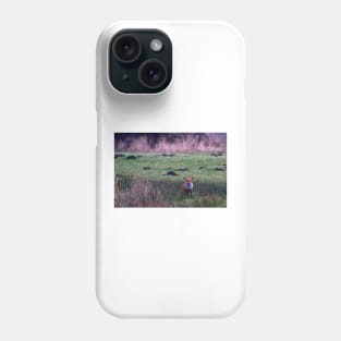 Fox at rest Phone Case