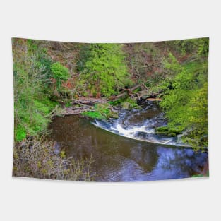 Avon Weir Tapestry