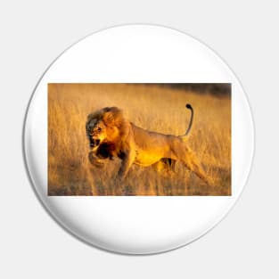 Aggressive young lion charging Pin