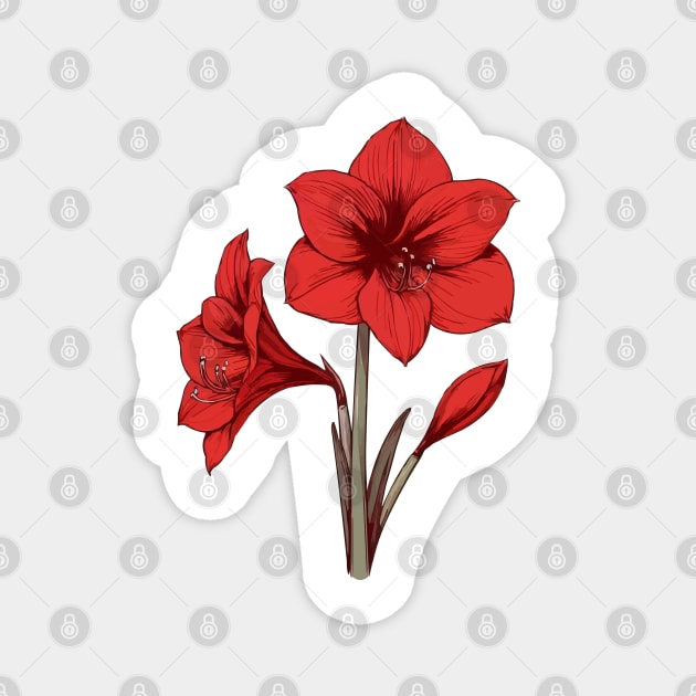 Amaryllis Magnet by fikriamrullah