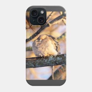 Sleepy Mourning Dove Phone Case