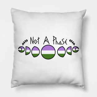 Not a phase- Genderqueer Pillow