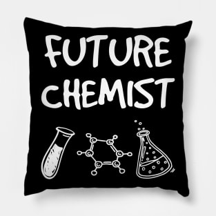 Future Chemist Pillow