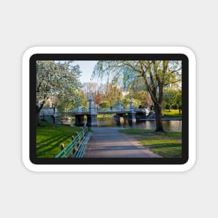 The Boston Public Garden in the Spring Boston MA Magnet