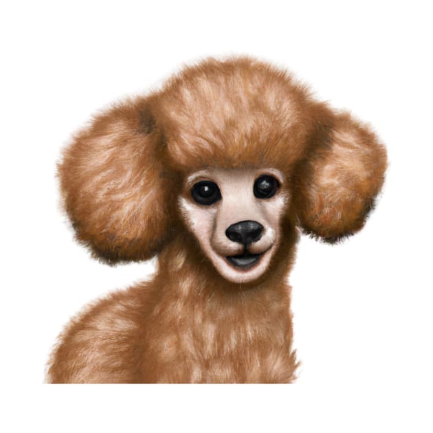 Cute Poodle Drawing by Play Zoo