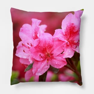 Azaleas Pillow