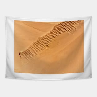 Desert aerial view Tapestry