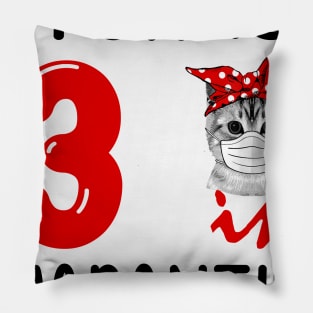 I Turned 3 In Quarantine Funny Cat Facemask Pillow