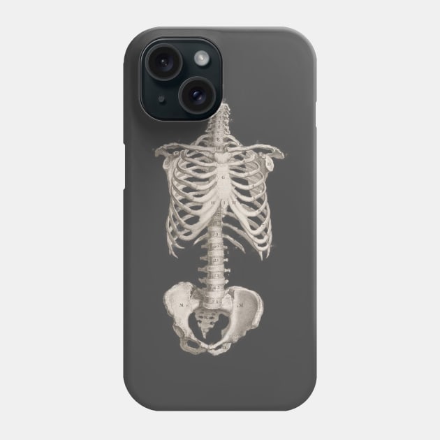 Vintage Medical Anatomy Skeleton Chest Medicine Phone Case by MoPaws