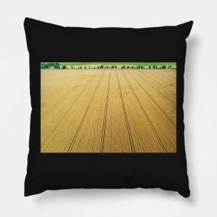 Aerial view of ripe field of grain ready to harvest Pillow