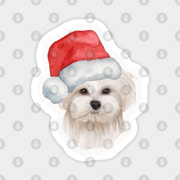 Copia de Cute And Lovely Animals With Christmas Magnet by AbstractArt14