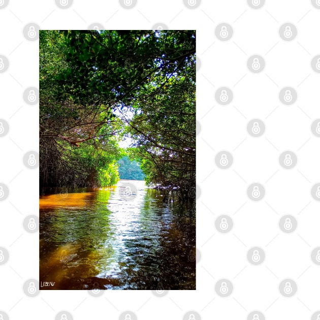 celestun ria wetland ecopark ecopop landscape photo in yucatan eye of the water tunnel by jorge_lebeau