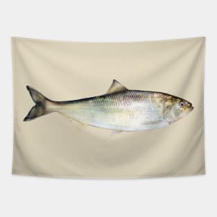 American Shad Tapestry