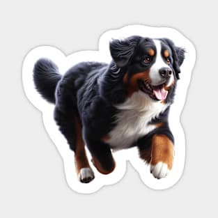 Bernese Mountain Dog Magnet