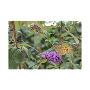 A beautiful butterfly perched on a purple flower T-Shirt