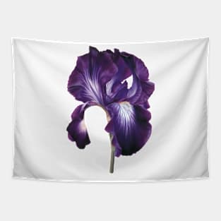 Iris Art Tapestry