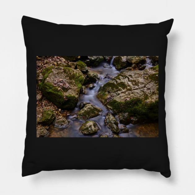 Mountain stream Pillow by mbangert