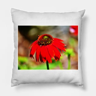 Salsa Red Coneflower Pillow