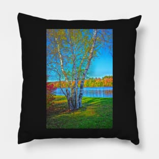 Lake Naomi Pocono Mountains Pillow