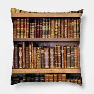 old library Pillow