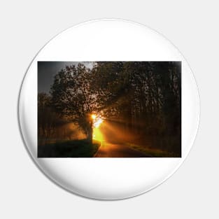 Shafts of Sunlight Pin