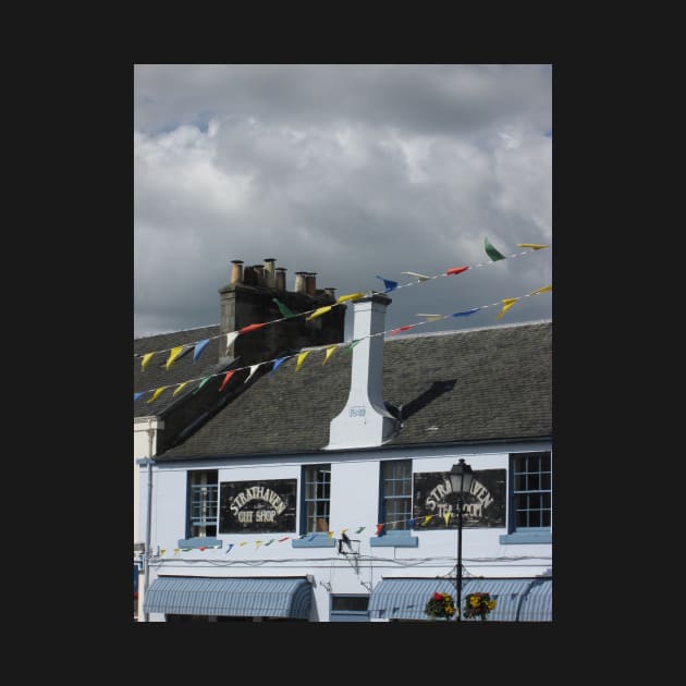 Strathaven Bunting by MagsWilliamson