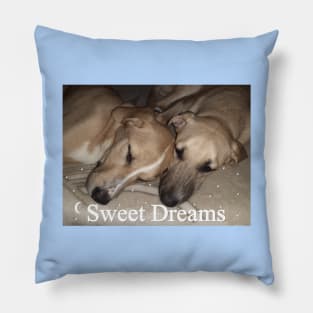 Sweet Dreams - Sleeping Dogs Pillow