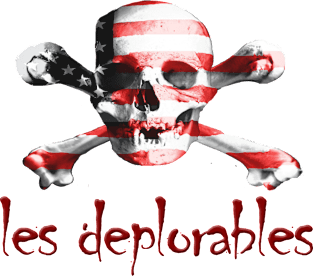 les deplorables Magnet