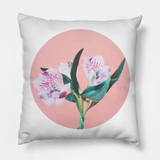 Peruvian Lily Pillow