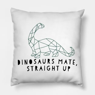 Liam Payne quote dinosaurs mate straight up Pillow