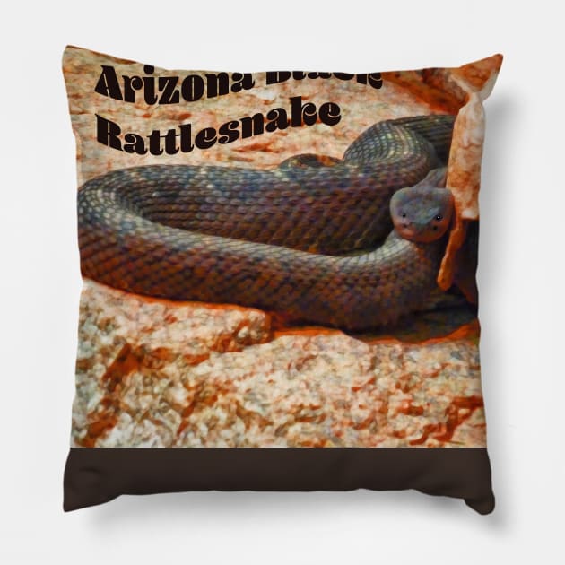 Arizona Black Rattlesnake Pillow by 2HivelysArt