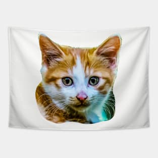 Cute Kitten Tapestry