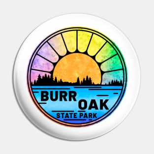 Burr Oak State Park Ohio OH Lake Pin
