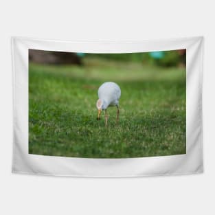 Cattle Egret Tapestry