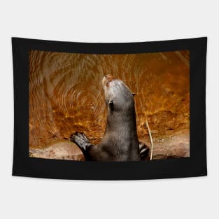 Giant Otter Tapestry