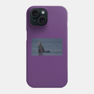 THE FIGHT FOR ANCHOVY Phone Case