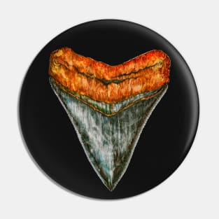 Megalodon tooth Pin