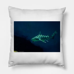 Leopard Shark 2 Pillow