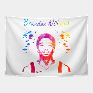 Brandon Williams Tapestry