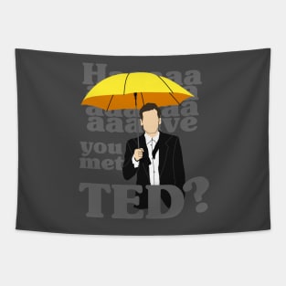 HAAAAVE you met Ted? Tapestry