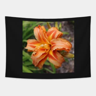 Orange Lily Bloom Photographic Image Tapestry