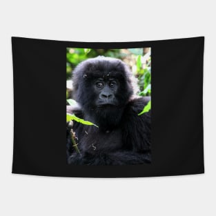"What are you going to do to me?" Juvenile Mountain Gorilla Tapestry
